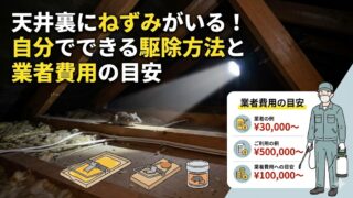 天井裏にねずみがいる！自分でできる駆除方法と業者費用の目安 