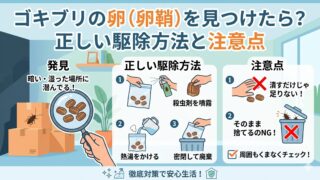 ゴキブリの卵（卵鞘）を見つけたら？正しい駆除方法と注意点 