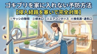 ゴキブリを家に入れない予防方法【侵入経路を塞いで完全対策】 