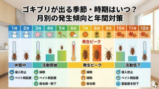 ゴキブリが出る季節・時期はいつ？月別の発生傾向と年間対策 