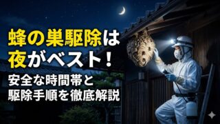 蜂の巣駆除は夜がベスト！安全な時間帯と駆除手順を徹底解説 
